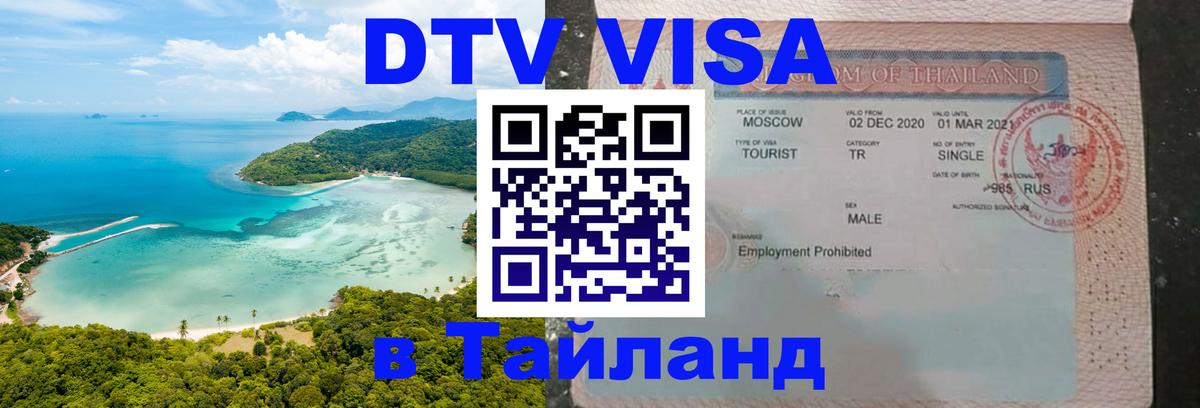 Сколько стоит DTV виза — актуальные цены, оформление даже без документов - Санкт-Петербург 